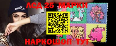индика Беслан