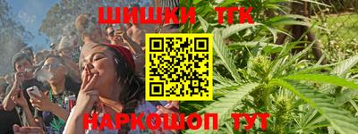 индика Беслан