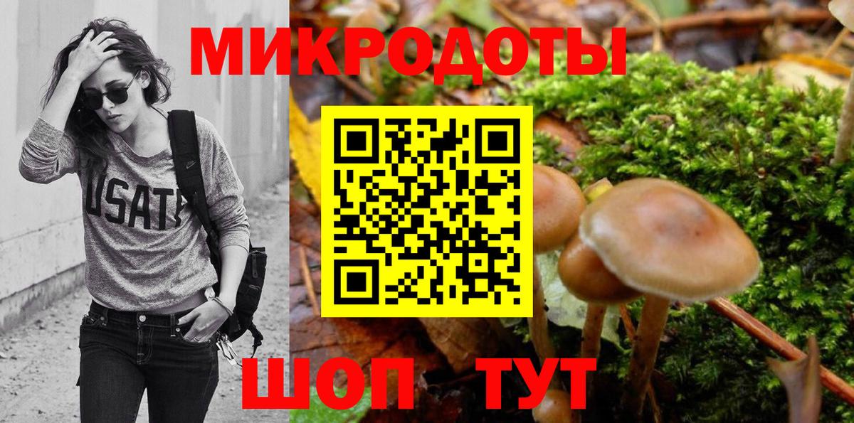 Казань  Псилоцибиновые грибы мухоморы  Псилоцибиновые грибы Psilocybine cubensis  Вход с VPN 