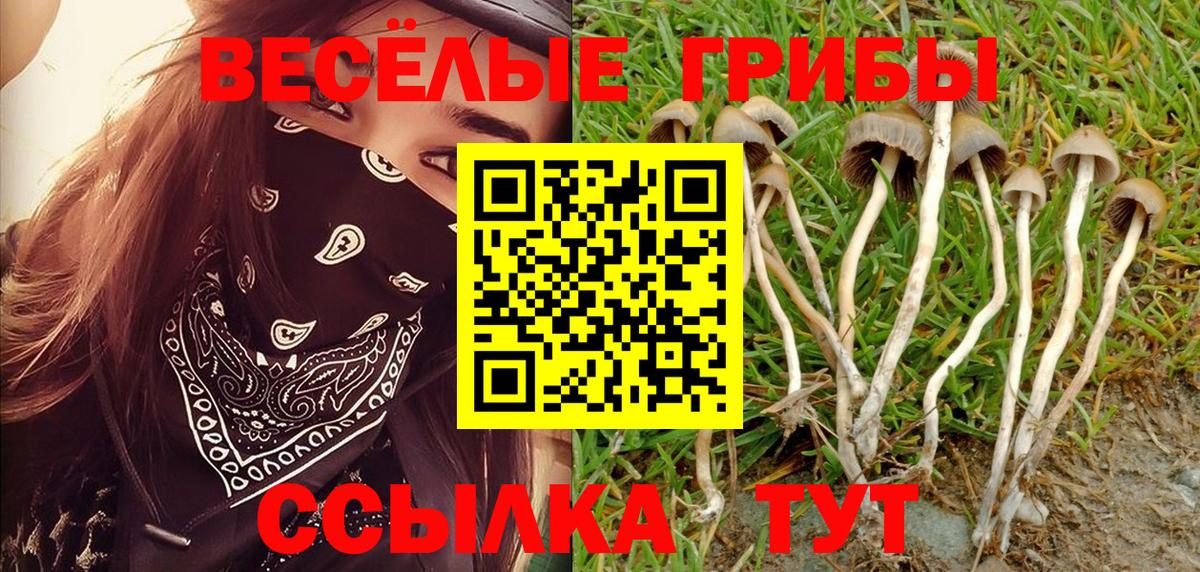 Галлюциногенные грибы прущие грибы Казань